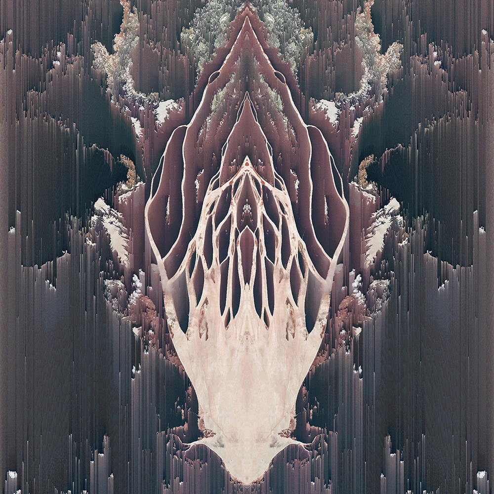 Image #2 of the denaturalized Landscapes series