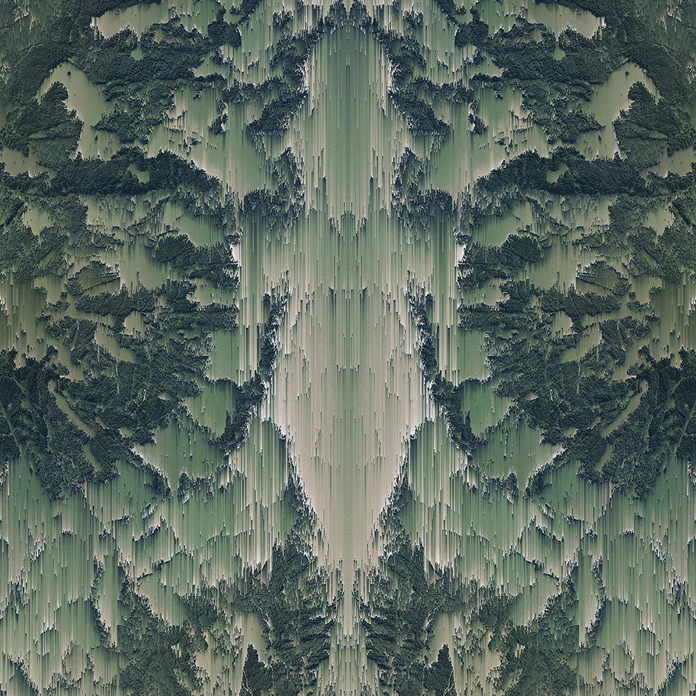 Image #1 of the denaturalized Landscapes series