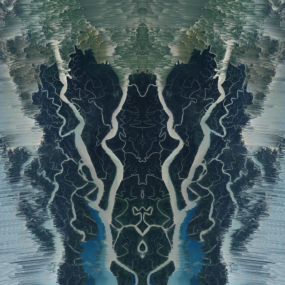 Image #3 of the denaturalized Landscapes series